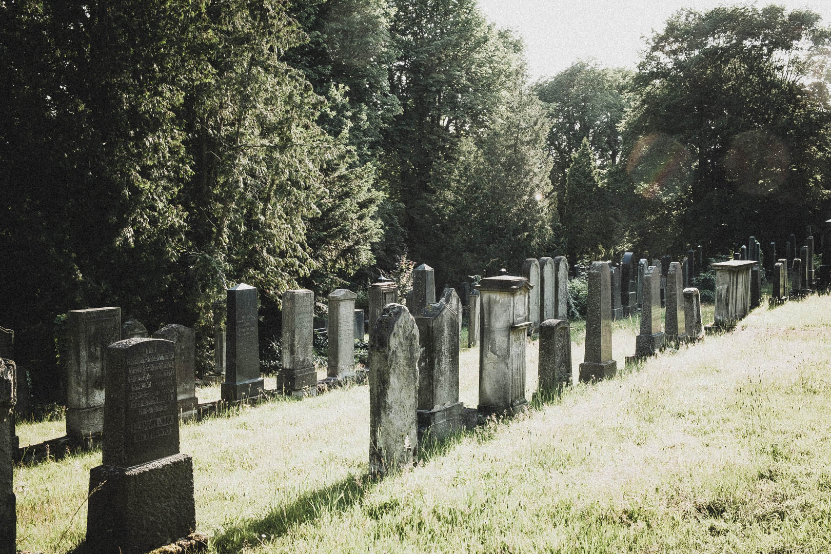 Jüdischer Friedhof Kassel-Bettenhausen